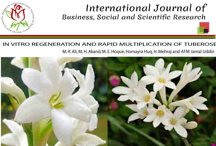 <i>IN VITRO </i>REGENERATION AND RAPID MULTIPLICATION OF TUBEROSE