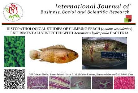 HISTOPATHOLOGICAL STUDIES OF CLIMBING PERCH (<i>Anabus testudenius</i>) EXPERIMENTALLY INFECTED WITH <i>Aeromonas hydrophilla</i> BACTERIA