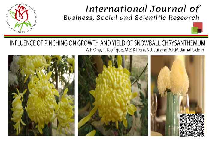 INFLUENCE OF PINCHING ON GROWTH AND YIELD OF SNOWBALL CHRYSANTHEMUM