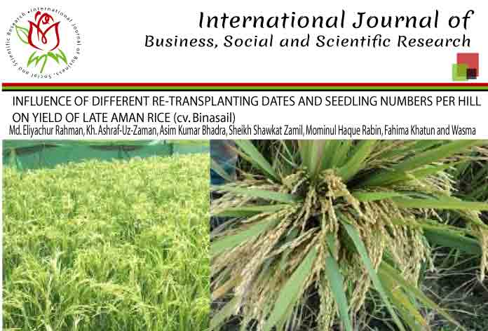 INFLUENCE OF DIFFERENT RE-TRANSPLANTING DATES AND SEEDLING NUMBERS PER HILL ON YIELD OF LATE AMAN RICE (cv. Binasail)