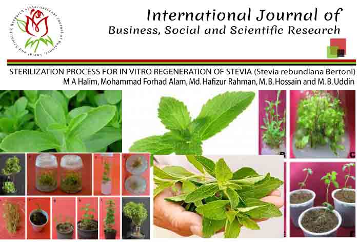 STERILIZATION PROCESS FOR IN VITRO REGENERATION OF STEVIA (Stevia rebundiana Bertoni)