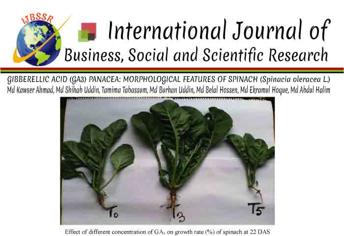 GIBBERELLIC ACID (GA3) PANACEA: MORPHOLOGICAL FEATURES OF SPINACH (Spinacia oleracea L.)