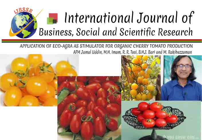 APPLICATION OF ECO-AGRA AS STIMULATOR FOR ORGANIC CHERRY TOMATO PRODUCTION