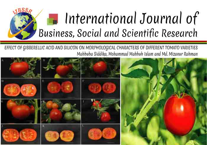 EFFECT OF GIBBERELLIC ACID AND SILICON ON MORPHOLOGICAL CHARACTERS OF DIFFERENT TOMATO VARIETIES