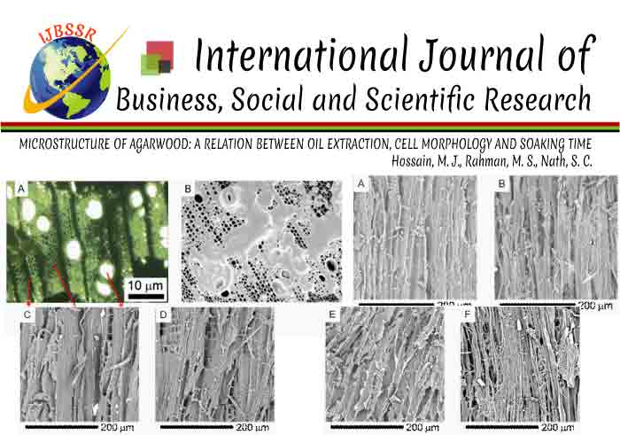 MICROSTRUCTURE OF AGARWOOD: A RELATION BETWEEN OIL EXTRACTION, CELL MORPHOLOGY AND SOAKING TIME